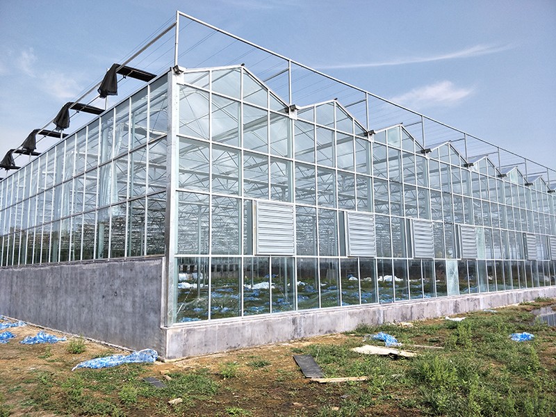 玻璃溫室