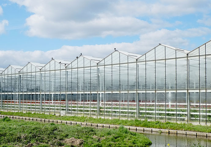 青州海盛溫室工程有限公司