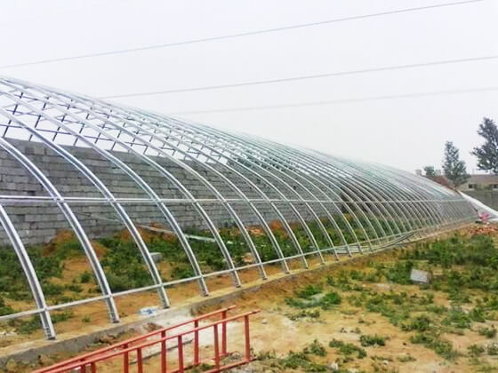 夏季溫室大棚降溫的方法有哪些？